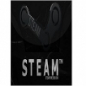 Steam 